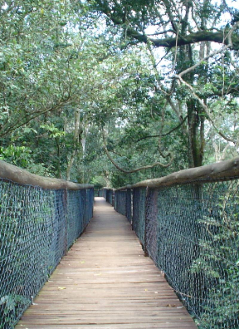 Enseleni Nature Reserve